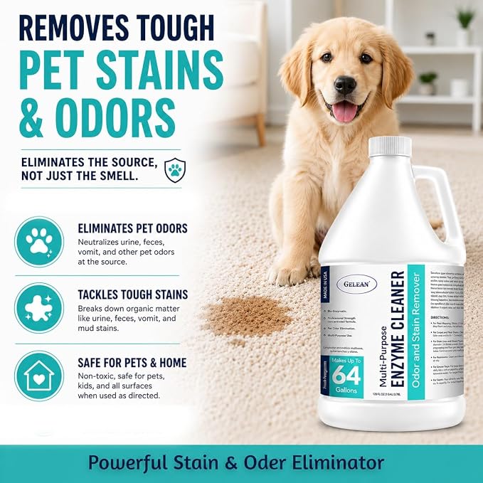 Multi-Purpose Probiotic Enzyme Cleaner, Made in USA - Pet Stain and Odor Remover - Concentrated - Professional & Home Strength Drains, Floors, Bathrooms, Toilets Trash Can, (1 gallon, Fresh fragrance)