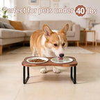 SPUNKYJUNKY Ceramic Elevated Tilted Dog Bowls Bone-Shaped Raised with 2 Height Iron Stand, 6.9'' Dog and Cat Food Water Bowls Set Non-Slip for Small Medium Sized Breed - 20 OZ,Beige