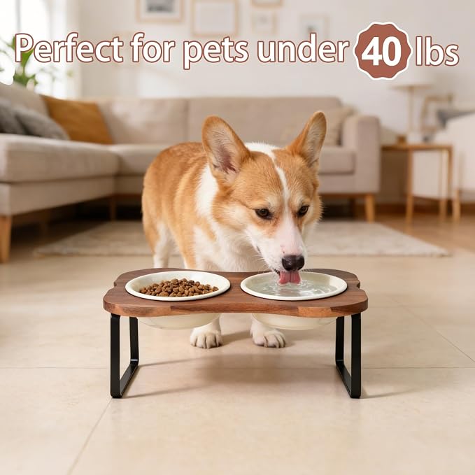 SPUNKYJUNKY Ceramic Elevated Tilted Dog Bowls Bone-Shaped Raised with 2 Height Iron Stand, 6.9'' Dog and Cat Food Water Bowls Set Non-Slip for Small Medium Sized Breed - 20 OZ,Beige