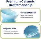 Lynx Ceramic Raised Slow Dog & Cat Elevated Food Bowl, Arctic Ombre | Tilted 15° Elevated Pet Food Bowl, Whisker-Friendly, Anti-Choking Dish, Dishwasher Safe, Nonslip, Food Grade Material