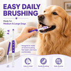 Dog Toothbrush, Dual-Head, for Medium-Large Dogs, Purple | Soft Bristles for Gentle Cleaning, 60° Curved Bristles for Better Coverage, Comfortable for Sensitive Gums