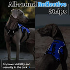 rabbitgoo Escape Proof Dog Harness for Large, No Pull with Lift Handle | No Escape, Full Soft Padded, Reflective Adjustable Vest, Leash Clip for Walking Hiking Training, Blue, Large