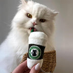Haute Diggity Kitty Vuiton Balls + Meowbucks Catpuccino Soft Plush Cat Toys | 5 Pack Catnip Toys with Interactive Crackle Sound, Safe & Durable Cat Nip Kicker Toy for Outdoor & Indoor Cats & Kitten