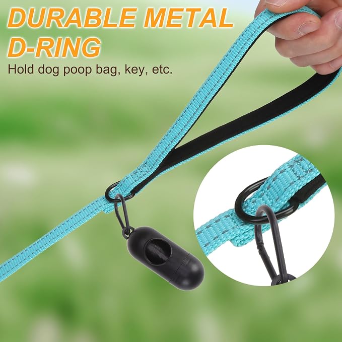 BEAUTYZOO Dog Leash 6 Pack, 5FT Pet Leash with Reflective Thread, Soft Padded Handle Thick Lead Leashes for Large Medium Dogs Small Puppy