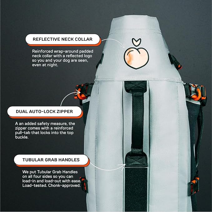 Little Chonk Maxine One Dog Backpack Carrier for Medium Dogs (Gray) | Adjustable & Ergonomic Pet Carrier, Built to be Safer, Hands Free Travel & Hiking, Front Facing, Featured in Wired Magazine