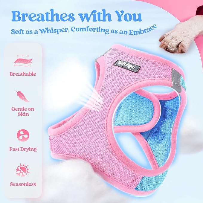 rabbitgoo Dog Harness Small Sized and Leash Set, Step-in Puppy Pet Vest | Light, Soft, Breathable Air Mesh, Easy on and Remove with Hook & Loop, Secure Reflective for Walking, Blue & Light Pink M