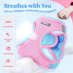 rabbitgoo Dog Harness Small Sized and Leash Set, Step-in Puppy Pet Vest | Light, Soft, Breathable Air Mesh, Easy on and Remove with Hook & Loop, Secure Reflective for Walking, Blue & Light Pink M