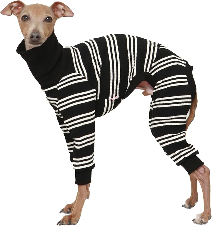 D Doggy Star Italian Greyhound Clothes Soft Stretchy Onesie Refined Stripe Outfit Whippet for Dog Coat (3XL,Onsi Ivory Str)