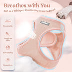 rabbitgoo Dog Harness Medium Sized and Leash Set, Step-in Puppy Pet Vest | Light, Soft, Breathable Air Mesh, Easy on and Remove with Hook & Loop, Secure Reflective for Walking, Pink XL