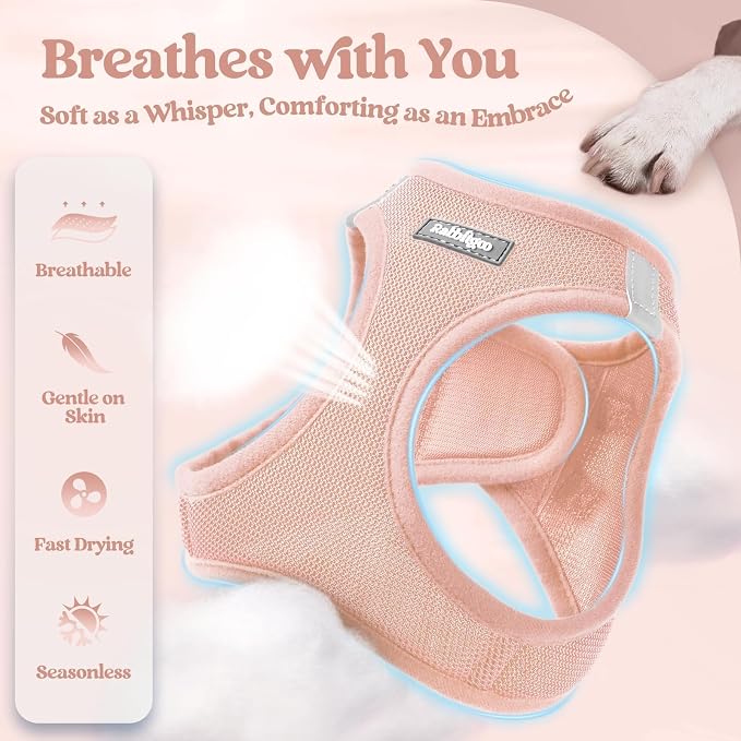 rabbitgoo Dog Harness Small Sized and Leash Set, Step-in Puppy Pet Vest | Light, Soft, Breathable Air Mesh, Easy on and Remove with Hook & Loop, Secure Reflective for Walking, Pink S