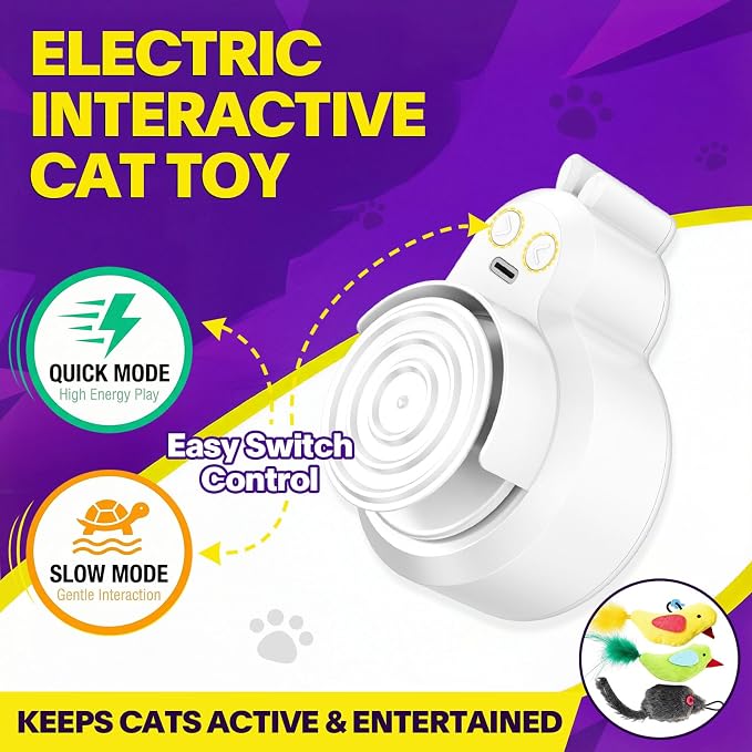 Interactive Cat Toys for Indoor Cats: Automatic Electric Flying Bird Feather & Mouse Wand, Rechargeable Electric Hanging Play Chase Exercise Moving Enrichment Toy for Bored Kittens and Adult Cats | CATPICK Rechargeable Door Frame Hanging Play Chase Exe...