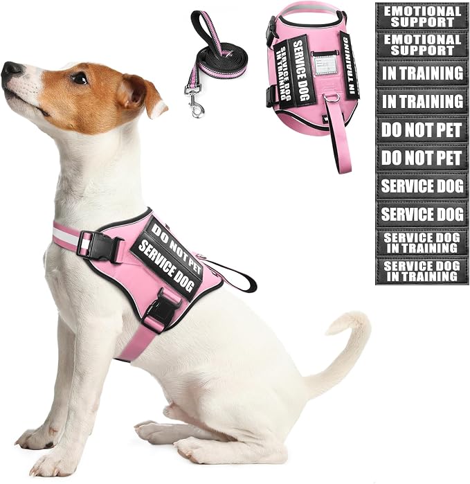 Service Dog Harness and Leash Set, Training Dog Vest with 10 Dog Patches, Emotional Support Therapy Dog Vest Harness for Small Medium Large and Extra Large Dogs(Pink, S)