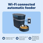 PetSafe Smart Feed Automatic Pet Feeder, 6L/24 Cup, Programmable | Alexa Enabled for Snack Feeding, App Alerts When Low/Empty, Slow Feed Setting, Backup Batteries Keep Meals on Schedule