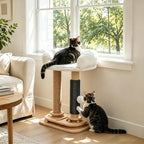 Cat Scratching Post with Bed, 4-in-1 Small Cat Tree Tower | Sisal Scratcher, Elevated Washable Bed, Track Ball Toy, Built-in Self-Groomer