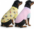 Spark Paws Sunblock Dog T-Shirt, SPF30 Protection, Lightweight Breathable Quick Dry for Dogs with Sensitive Skin - Bees & Gelato (Set of 2) - Size 4XL