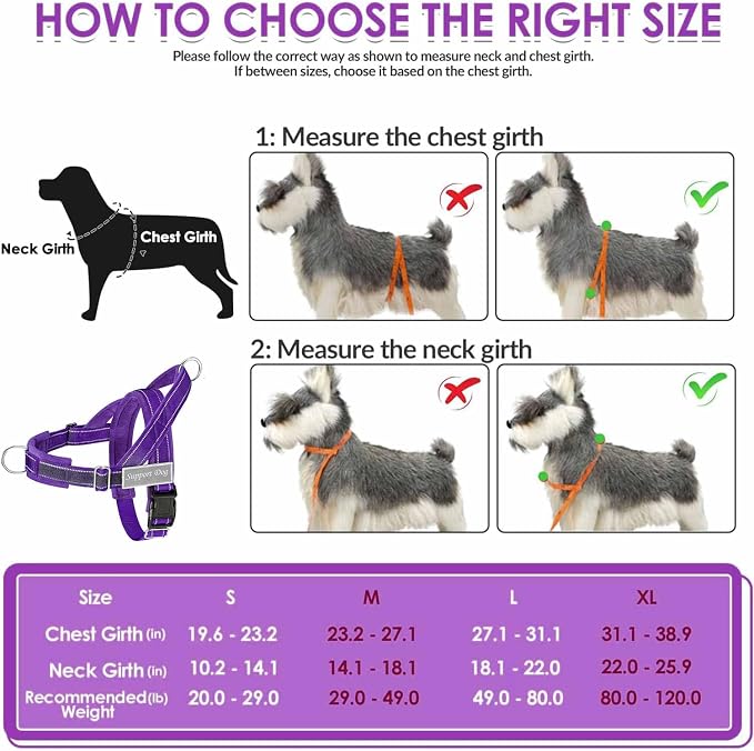 Lukovee No Pull Dog Harness and Leash Set - Adjustable Soft Padded Vest with Front Clip for Easy Control, Reflective Durable Harness for Safe Daily Training Walking for Medium Large Dogs (S, PU)