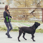 HOMIMP Chew Proof Dog Leash for Medium Large Dogs, Reflective 6 FT Heavy Duty Metal Chain Dog Leashes with Soft Padded Handle, Anti Bite Durable Rope Leashes for Pitbull, Non Chewable