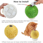 miwoowim Cat Face Scratcher Wall Corner Massage Comb, Self Grooming Brush | Catnip Feeder Toy with Catnip. Multi-purpose scratcher. Easy to install with adhesive tape. Removes loose fur