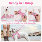 rabbitgoo Dog Harness Small Sized and Leash Set, Step-in Puppy Pet Vest | Light, Soft, Breathable Air Mesh, Easy on and Remove with Hook & Loop, Secure Reflective for Walking, Pink & Plaid Trim XXS