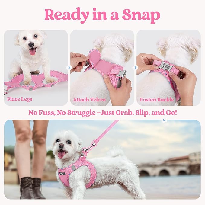 rabbitgoo Dog Harness Medium Sized and Leash Set, Step-in Puppy Pet Vest | Light, Soft, Breathable Air Mesh, Easy on and Remove with Hook & Loop, Secure Reflective for Walking, Pink & Plaid Trim L
