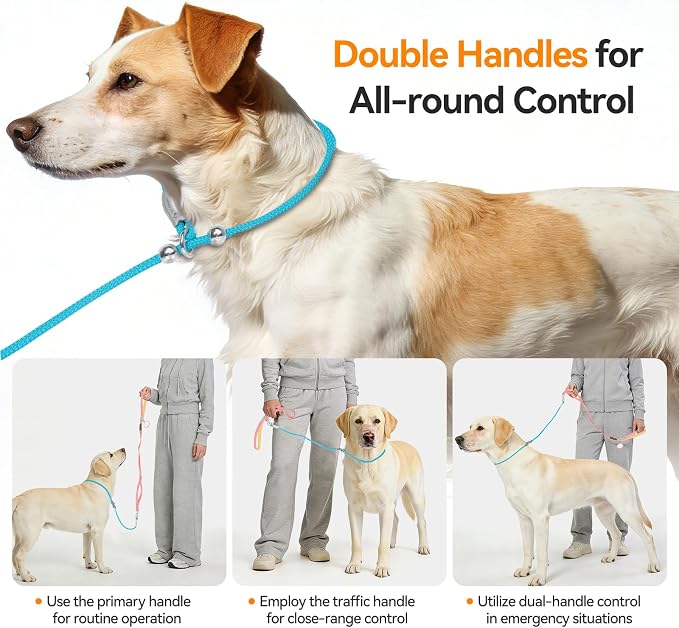 Dog Slip Leash with Double Padded Handles, Dog Training Lead to Stop Pulling,No-Pull Slip Leash and Collar Combo, Anti-Tangle,Traffic Control,Heavy Duty&Durable
