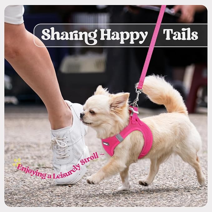 rabbitgoo Dog Harness Small Sized and Leash Set, Step-in Puppy Pet Vest | Light, Soft, Breathable Air Mesh, Easy on and Remove with Hook & Loop, Secure Reflective for Walking, Rose Red XS