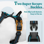 rabbitgoo Dog Harness, No Pull for Large Dogs with 2 Leash Clips, Pet Vest | No Choke with Handle, Adjustable Soft Padded, Reflective, Easy Control for Walking, Blue Coral, Large