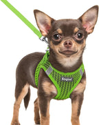 Eagloo Small Dog Harness and Leash Set, Step in Extra Small Puppy Pet Vest | Light, Soft, Breathable Air Mesh, Easy on and off with Hook & Loop, Reflective for Safe Walking, Green, XXS