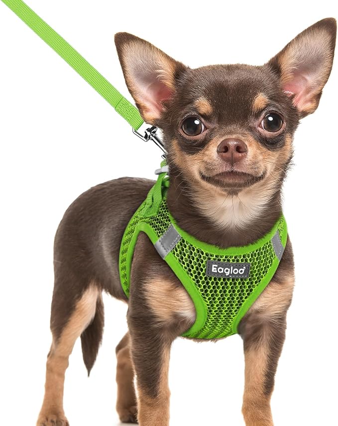 Eagloo Small Dog Harness and Leash Set, Step in Extra Small Puppy Pet Vest | Light, Soft, Breathable Air Mesh, Easy on and off with Hook & Loop, Reflective for Safe Walking, Green, XXS