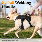 rabbitgoo Escape Proof Dog Harness for Medium, No Pull with Lift Handle | No Escape, Full Soft Padded, Reflective Adjustable Vest, Leash Clip for Walking Hiking Training, Black, Medium