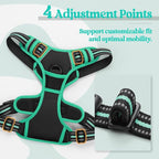 rabbitgoo Dog Harness, No Pull Medium Sized with 2 Leash Clips, Pet Vest | No Choke with Handle, Adjustable Soft Padded, Reflective, Easy Control for Walking, Black & Turquoise, Medium