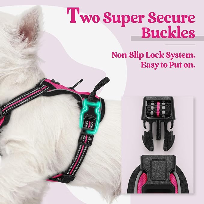 rabbitgoo Dog Harness No Pull with 2 Leash Clips, Adjustable Soft Padded, Reflective Oxford No Choke Pet Vest with Easy Control Handle for Puppy, Hot Pink, XS | No Choke with Handle, Adjustable Soft Padded, Reflective, Easy Control for Walking, Hot Pin...
