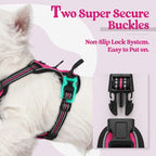 rabbitgoo Dog Harness No Pull with 2 Leash Clips, Adjustable Soft Padded, Reflective Oxford No Choke Pet Vest with Easy Control Handle for Puppy, Hot Pink, XS | No Choke with Handle, Adjustable Soft Padded, Reflective, Easy Control for Walking, Hot Pin...