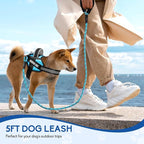 Service Dog Vest Harness and Leash Set, Animire in Training Dog Harness with 10 Dog Patches, Reflective Dog Leash with Soft Padded Handle for Small, Medium, Large, and Extra-Large Dogs (Light Blue,S)