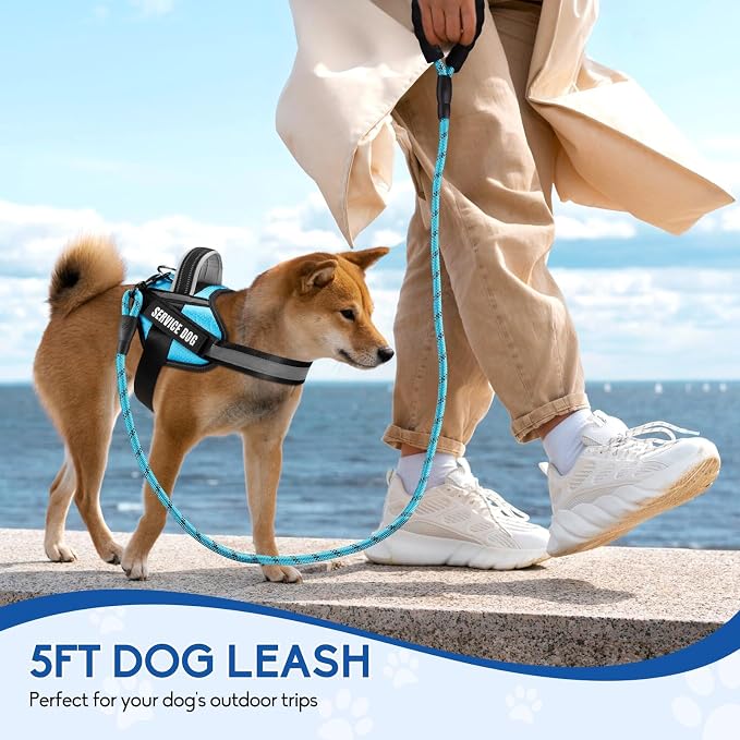Service Dog Vest Harness and Leash Set, Animire in Training Dog Harness with 10 Dog Patches, Reflective Dog Leash with Soft Padded Handle for Dogs (Light Blue,Xs)