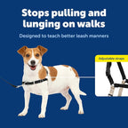 PetSafe Easy Walk Harness for Dogs - Pull-Free Walks - Patented Martingale Loop Design - Front Chest Leash Attachment - Comfort Straps - Breathable Harness Design - Small, Black/Silver