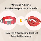 Leather Dog Leash 6 ft x 3/4 inch - Soft, Strong, Heavy Duty for Large & Medium Breeds - Dog Lead for Walking & Training (Red, L - 6 ft x 3/4 inch)