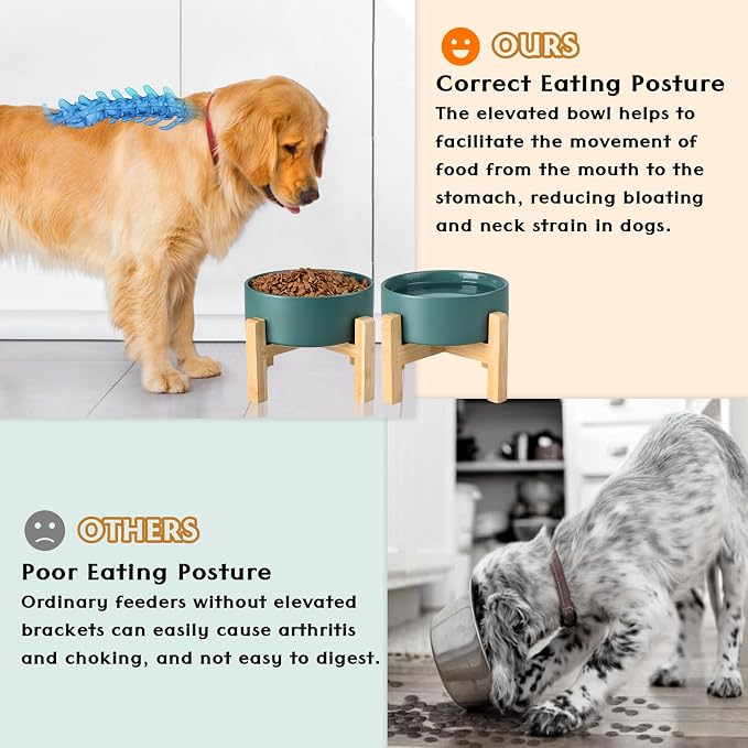 SPUNKYJUNKY Ceramic Elevated Dog Bowls 2 Pack - 6.1inch Raised Dog Bowls with Non-Slip Wooden Stand for Medium Dogs Dishwasher Safe(Green,28.7OZ*2)