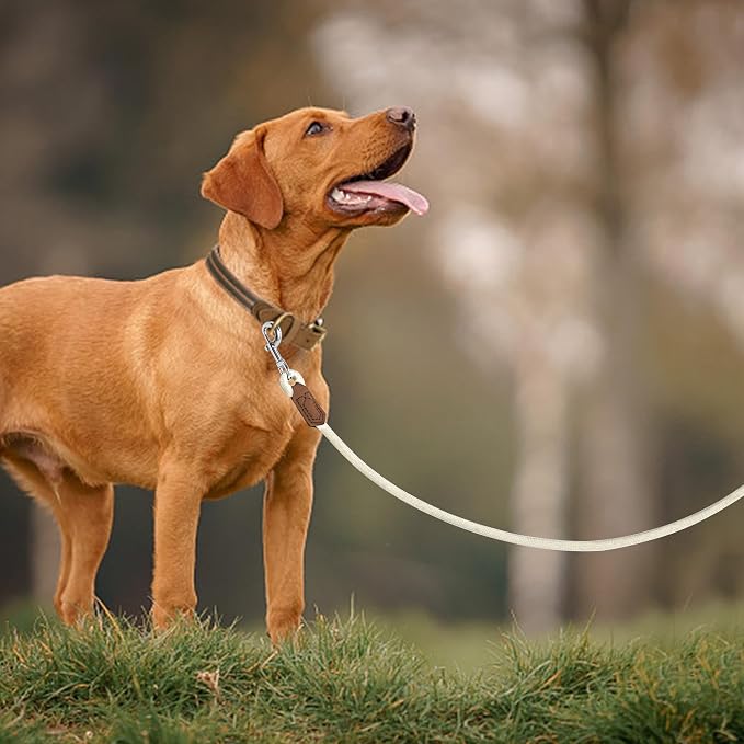 Mile High Life Dog Leash with Genuine Leather Handle, 6 FT/5 FT/4 FT | Leather Grip Rope Leash, Heavy Duty 360° Swivel Metal Clasp, for Small Medium & Large Dogs
