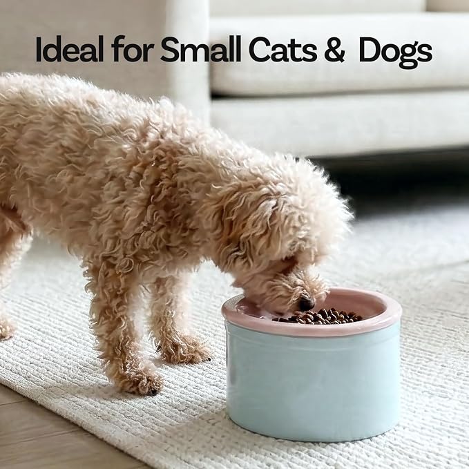 Hello Bowl Elevated Ceramic Cat Bowl with Stand, Raised Whisker-Friendly Feeding Bowl for Cats & Small Dogs, Patented Design, Made in Korea (Gray, Square Only/Dry)