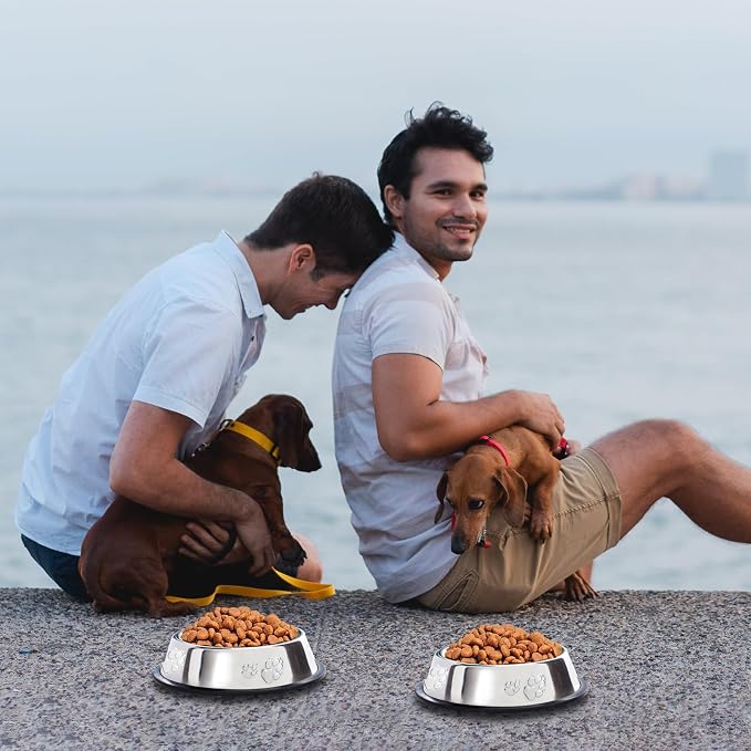 10 Pcs Stainless Steel Dog Bowl Pet Feeding Bowl with Rubber Base Non-Slip Pet Dishes Metal Dog Bowls Pet Food and Water Bowls for Small Medium Animals Kitten Rabbit (7 oz)