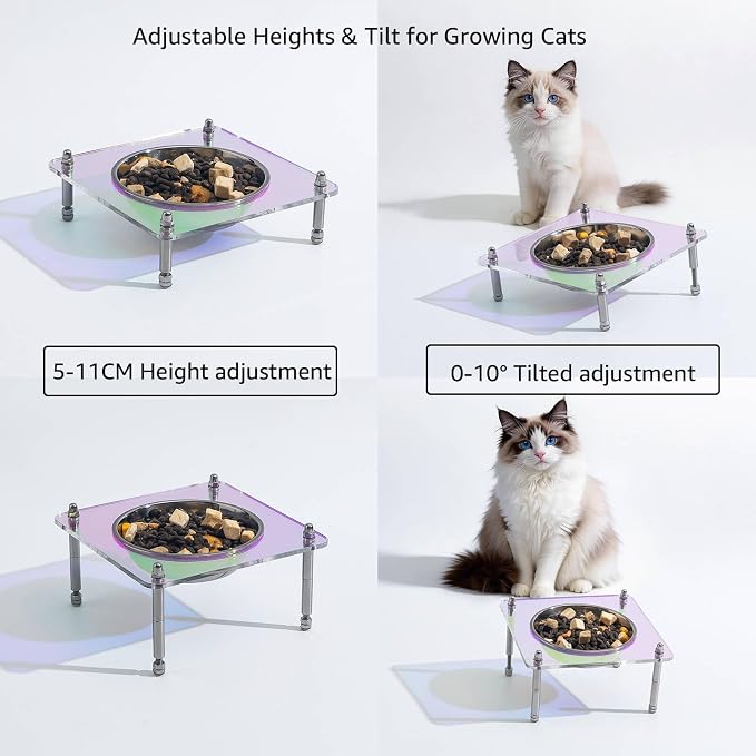 Elevated Cat Bowls with Food Mat Tilted 304 Stainless Steel Dishes for Cats | Whisker Friendly Shallow Dish, Tilted Design Anti-Vomiting, Durable Acrylic Base Feeder, Adjustable Raised Stands, Non-Slip
