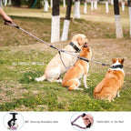 3 Dog Leash - Padded Handle, 360° Swivel Multiple Dog Leash No Tangle, Lead for Medium Large Dogs, Walking & Training Double Dogs (Purple Green)