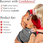 BellyGuard Dog Surgery Recovery Suit, Post-Op Dog Recovery Suit for Female Spay & Male Neuter, Comfy Onesie for Pets, Surgical Body Cover for Canine Healing Support
