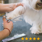 JASON Dogs Grooming Thinning Scissors - 7.5" 56-Tooth Blending Cats Shears | Pets Blender Thinner Trimming Texturizing Kit with Offset Handle, Blue Jewelled Screw