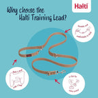 Halti Training Dog Leash | Size Small, Desert Sand, 2m | No-Pull Double-Ended Dog Leash | Light, Soft & Durable | Ideal for Obedience Training & Everyday Walks with Dogs & Puppies