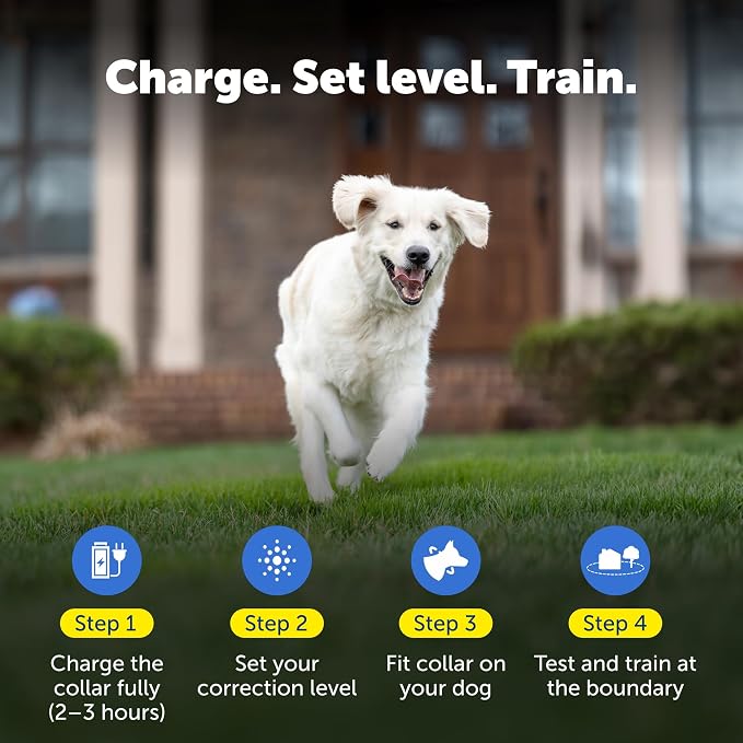 PetSafe Rechargeable In-Ground Fence Collar | Collar Only, Replacement, Extra, Add-A-Dog, Waterproof, Tone and Static, Dogs & Cats 5 lb+, Fits 6-26in Necks