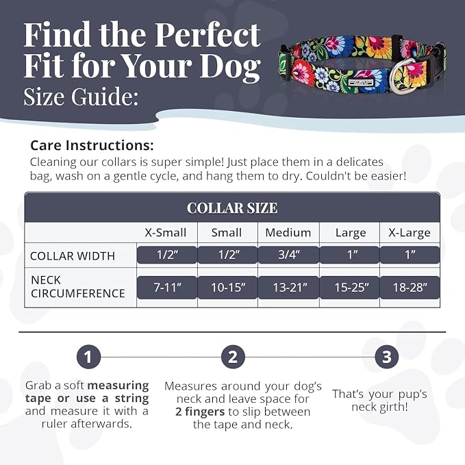 Lucky Love Dog - Easy Click Buckle Dog Collar with Leash Set Combo, Durable & Comfortable for Male & Female Dogs, Pet Collar for Small Dogs, Secure Fit - Hana Combo, XS