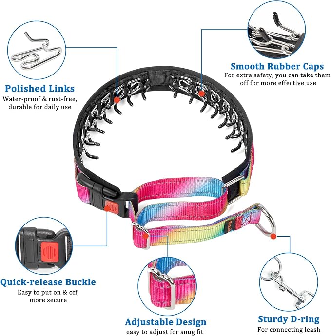 Mayerzon Martingale Prong Collar for Dogs, Patented No Pull Pinch Collar | Anti Pull Dog Collar with Buckle for Large Breed Dogs, For Training Walking Hunting, Adjustable and Heavy Duty (Rainbow, XL)