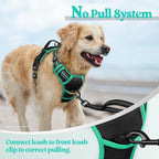 rabbitgoo Dog Harness, No Pull Medium Sized with 2 Leash Clips, Pet Vest | No Choke with Handle, Adjustable Soft Padded, Reflective, Easy Control for Walking, Black & Turquoise, Medium